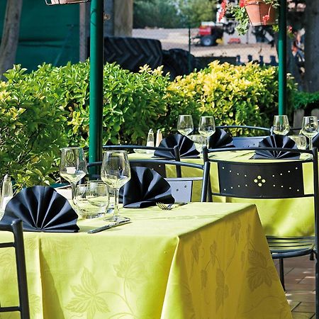 Logis Hotel Restaurant Le Flamant Rose Camargue Albaron Ngoại thất bức ảnh